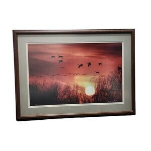 Thomas D. Mangelsen Collector Edition Print of Sandhill Cranes Images of Nature
